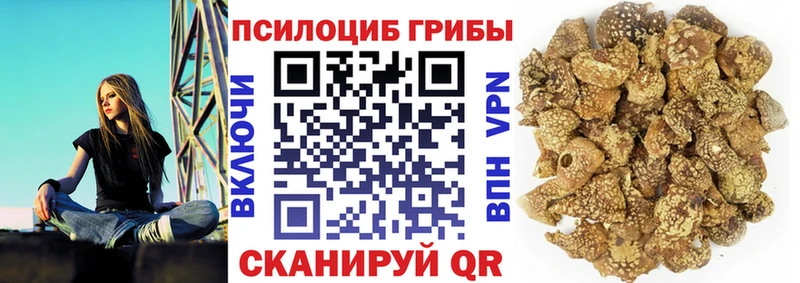 Псилоцибиновые грибы ЛСД  Купить  Ессентуки 